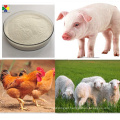 Antibiotic Poultry Medicine Powder Thiamphenicol GMP Pharma Grade